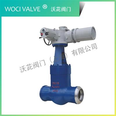 Z960Y 電動(dòng)電站閘閥