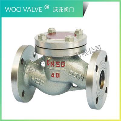 H41N LPG Check Valve