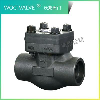Z11Y/Z61Y Forged Steel Thread, Bearing Check Valve