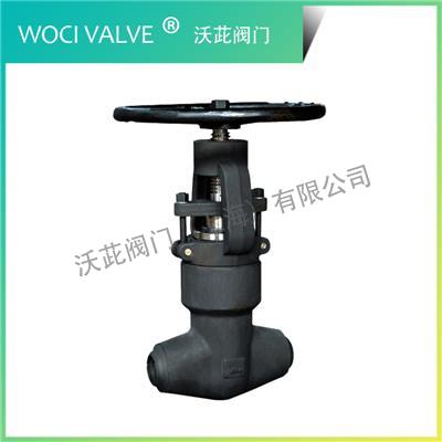 J61Y Self